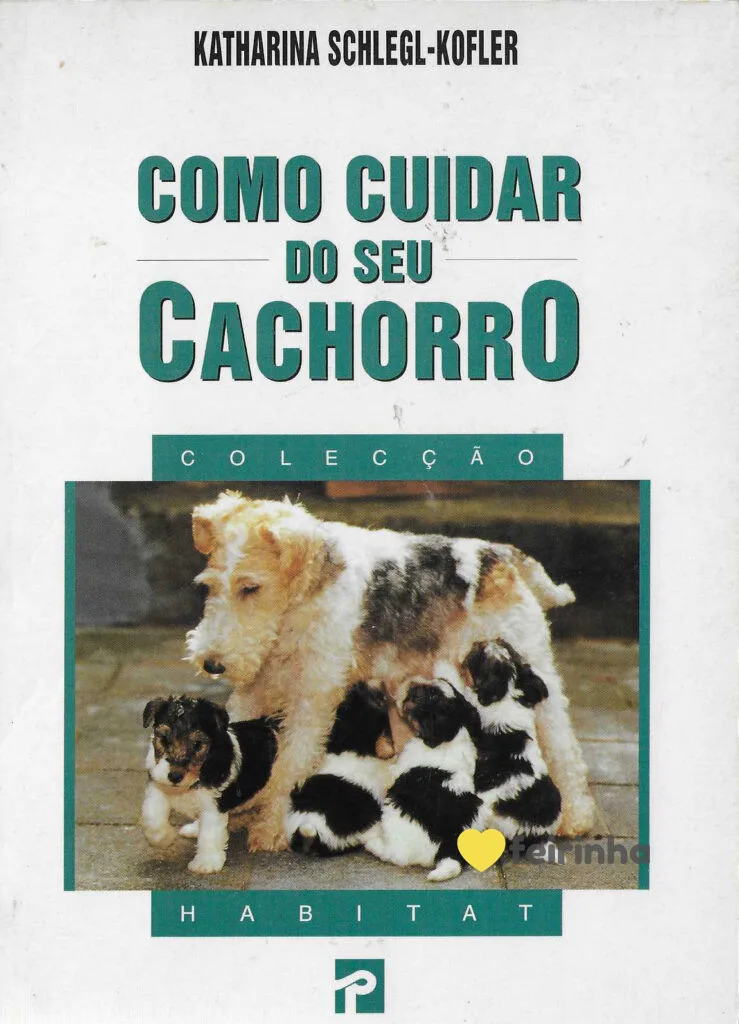 LIVRO-31
