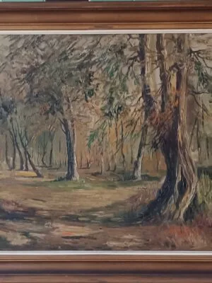 "Floresta negra"
